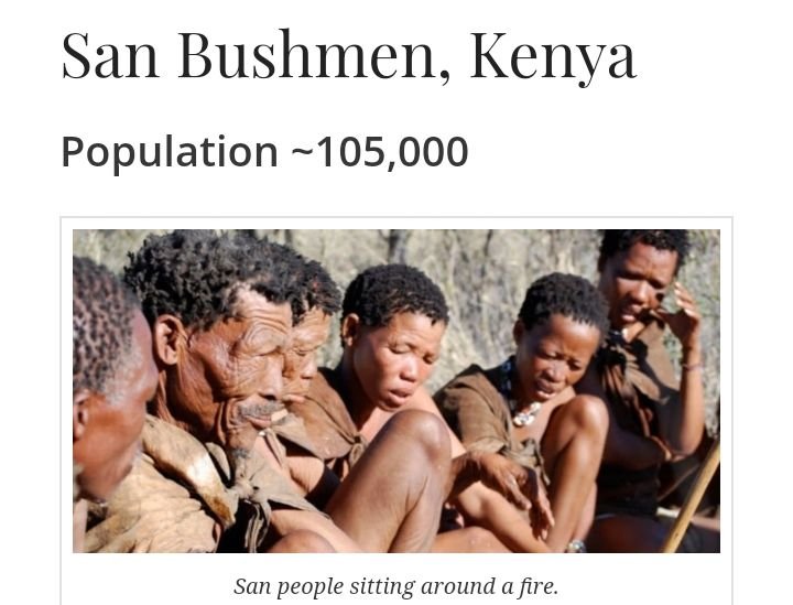 African Tribes ~ San Bushmen, Kenya: The Africa Insight with&nbsp;David