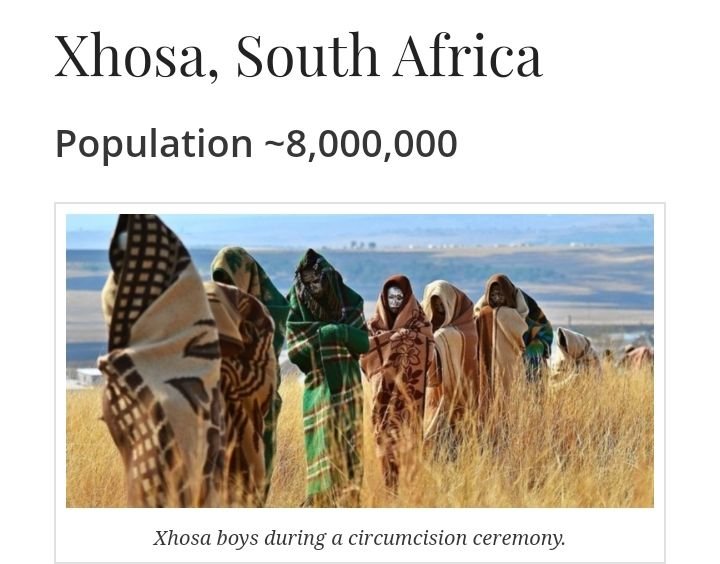 African Tribes ~ Xhosa, South Africa: The Africa Insight with&nbsp;David